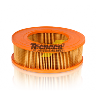 AR137 FILTRO ARIA MINI 800/1000