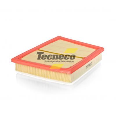 AR22017PMS FILTRO ARIA BMW-MINI OE 13718513944