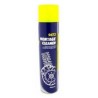 PULITORE FRENI SPRAY