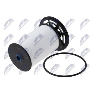 FFF-FT-003 F. GASOLIO N.DUCATO