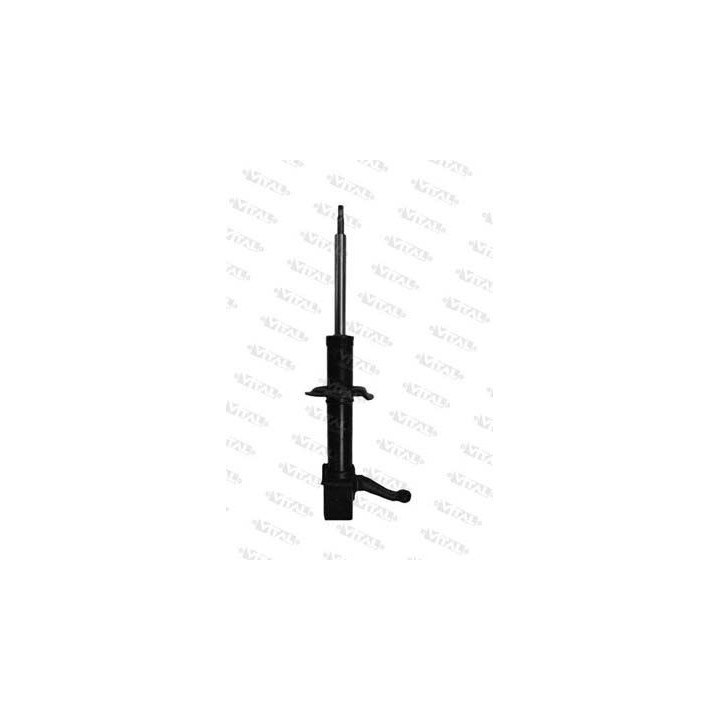 AMM Y10 ANT DX