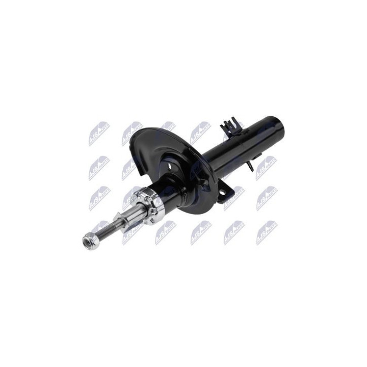 AMM ANT P208