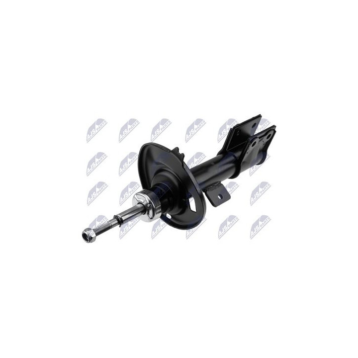 AMM ANT P308