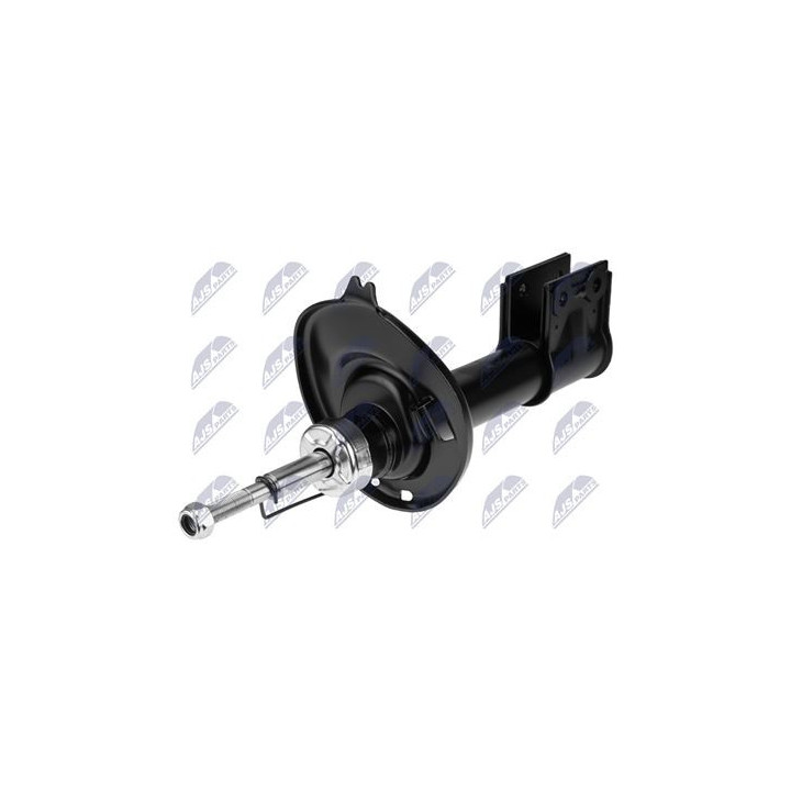 AMM ANT P 308