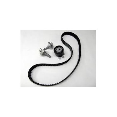 kit distribuzione clio 1500 dci 123*270