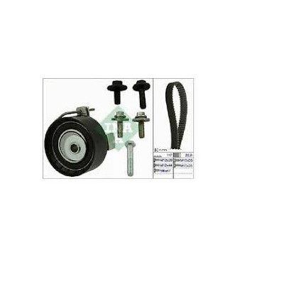 KIT DISTRIBUZIONE INA - FORD FIESTA (K025669XS)