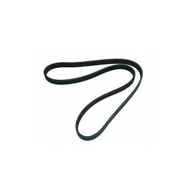 5PK1153 CINGHIA MULTIGOLA