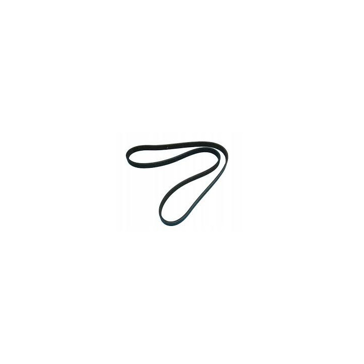 5PK1153 CINGHIA MULTIGOLA