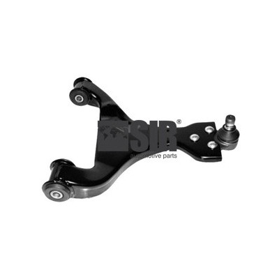 0218115 BRACCIO DX VITO 2003