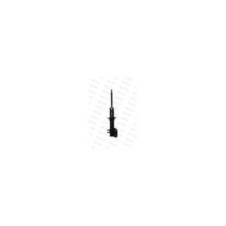 AMM ANT DX MATIZ I
