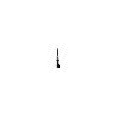 AMM ANT DX MATIZ I