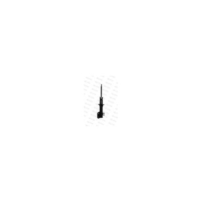 AMM ANT SX MATIZ I