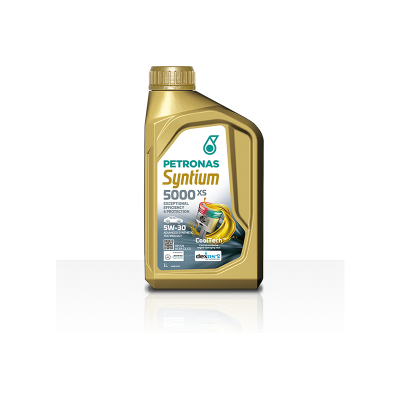 OLIO 5W30 5000XS 1 LT