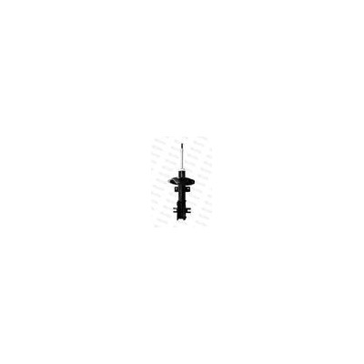 AMM ANT MAREA 2.0 2.4JTD