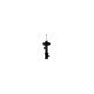 AMM ANT DX PUNTO EVO