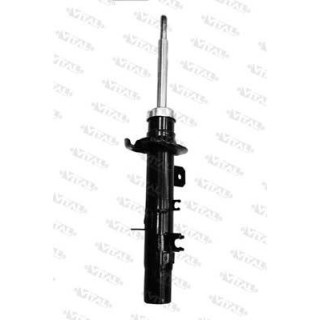 AMM ANT SX C2 - C3 I SR