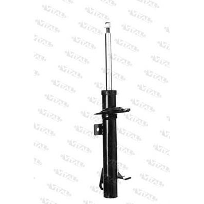 AMM ANT DX FIESTA V