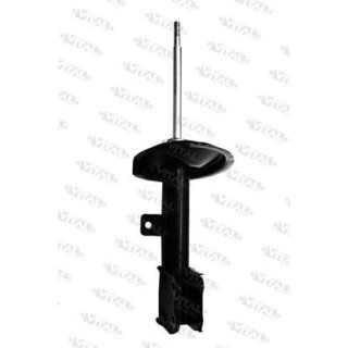 AMM ANT DX C4 - P307