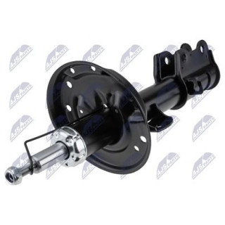 AMM ANT DX FIORINO QUBO