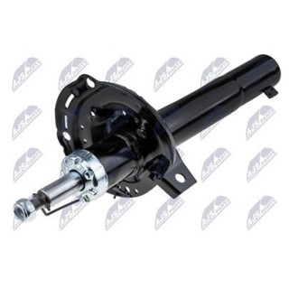 AMM ANT GOLF VII