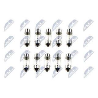 LAMPADINA C5W 12V