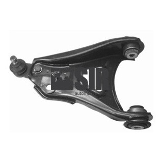 BRACCIO SX CLIO II / KANGOO