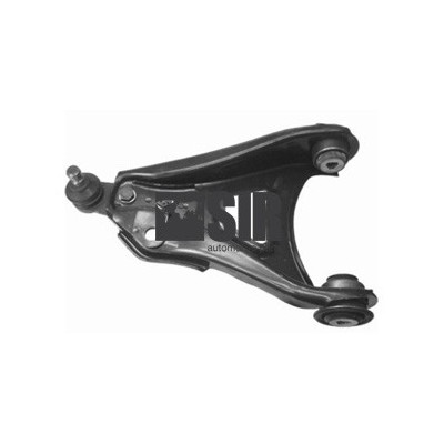 BRACCIO SX CLIO II / KANGOO