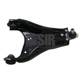 0224129 BRACCIO DX DUSTER