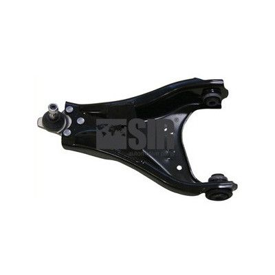 0224130 BRACCIO SX DUSTER