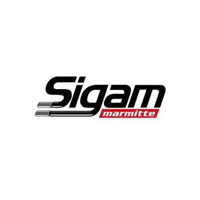 RE: GOMM. KANGOO/MEGANE