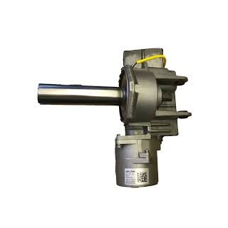 FI2020-08 EPS G.PUNTO 7 FILI C/ ESP