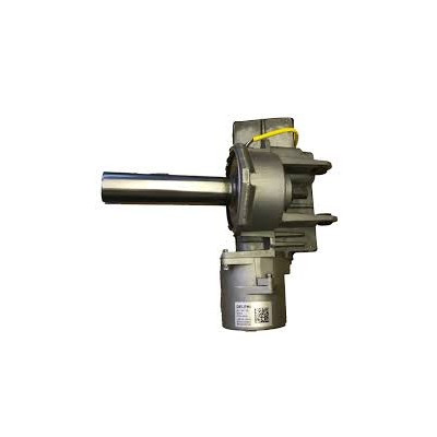 FI2020-08 EPS G.PUNTO 7 FILI C/ ESP